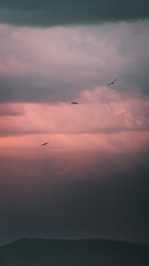 sunset over the sea