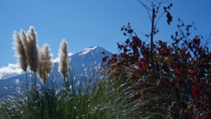 秋の富士山