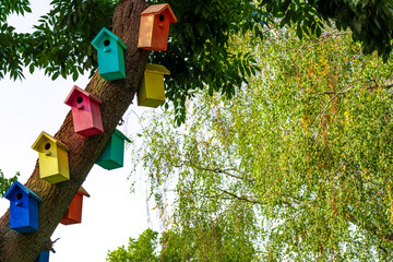  Colorful Bird Houses. Houses for birds. Lodges for a wintering of birds