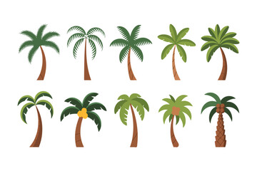 Obraz premium Tropical Palm Trees Collection