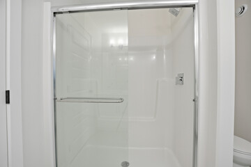 Shower stall with a glass door and a toilet in the background