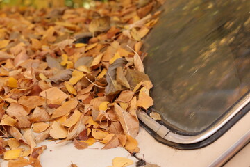 autumn leaves on the abandoned soviet car