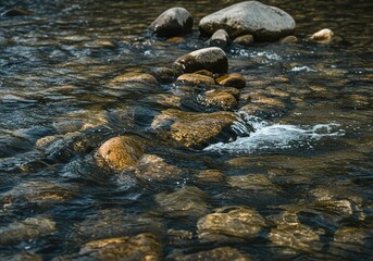 Obraz premium Clear water gracefully flows over smooth river stones, creating a tranquil and refreshing scene in a natural outdoor setting ,serene ,transparent ,stone