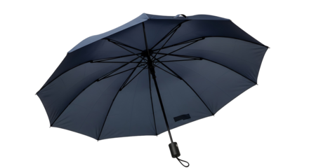 Dark Rain Umbrella Protects From Weather Wind Protection Fashion Accessory