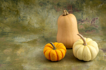 Unintentionally Suggestive Autumn Still Life with Pumpkins