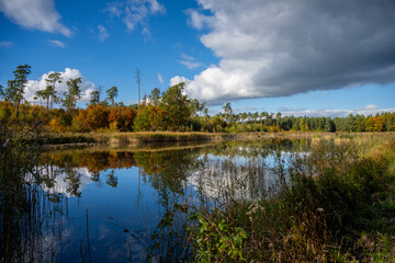 lake in autumn