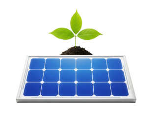 Solar Panel Energy with Plant Power Alternative Green Source Concept
