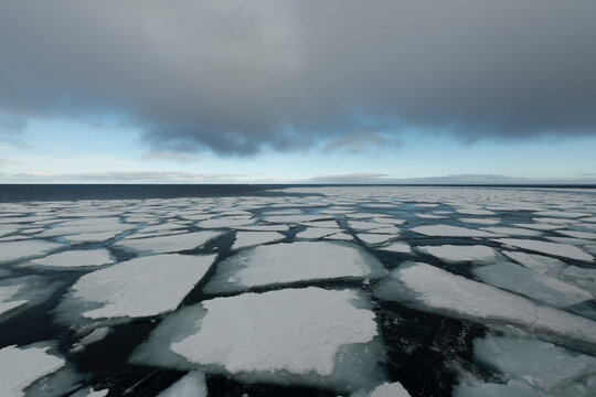 Sea ice in the Barents Sea near Franz Josef Land in summer 