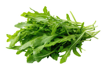 Fresh, vibrant green arugula leaves tightly clustered (1)