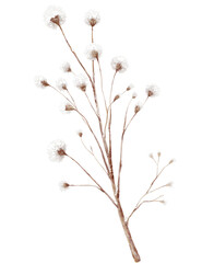 Watercolor Dried Botanical Branch