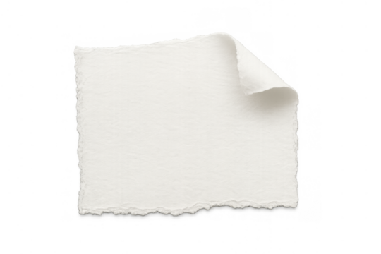 White textured torn paper piece with a curled corner blank for copy space, isolated on transparent background