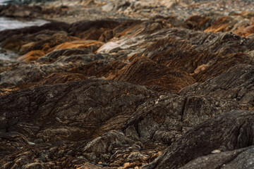 Textured metamorphic rock mounds along rugged shoreline. High quality photo