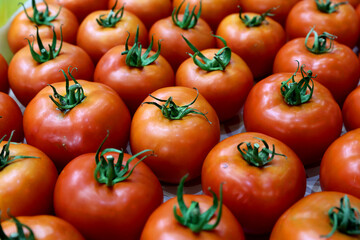 Fresh and appetizing tomato presented at an agricultural products fair. Selective focus. Photographed in natural light.