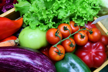 Fresh and appetizing vegetable presented at a agricultural products fair. Selective focus. Photographed in natural light.