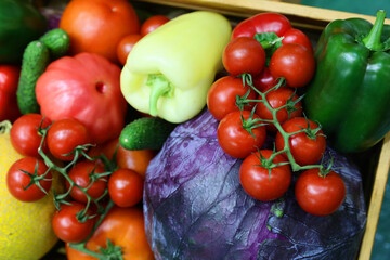 Fresh and appetizing vegetable presented at a agricultural products fair. Selective focus. Photographed in natural light.