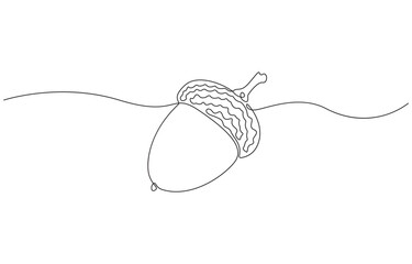 Continuous one line drawing of acorn, single line acorn seed, autumn forest concept vector illustration. 