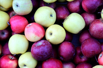 Fresh and appetizing apple presented at a an agricultural products fair. Selective focus. Photographed in natural light.