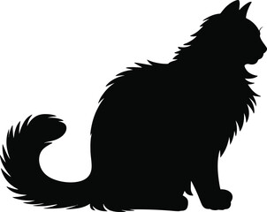 A fluffy maine coon cat in a seated position on transparent background silhouette