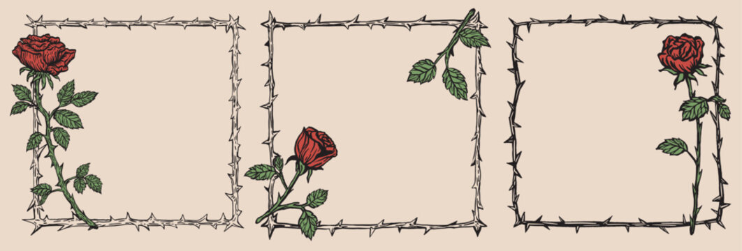 Vintage thorn rose frame set featuring red roses and thorn borders. Elegant botanical illustration style, perfect for gothic invitations, romantic designs, tattoo art, and decorative layouts.