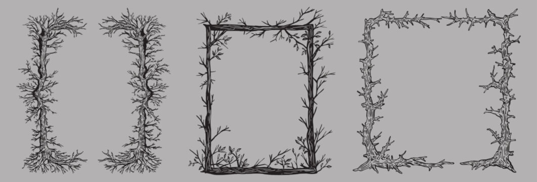 Hand-drawn tree branch frame set with roots and twigs. Rustic forest-themed borders perfect for fantasy designs, nature illustrations, invitations, tattoo art, and gothic woodland aesthetics.