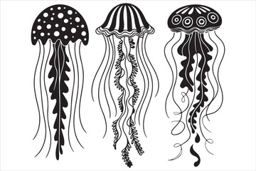 Hand Drawn Jellyfish Illustration  Black and White Marine Art