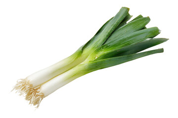 Fresh bunch of green scallions