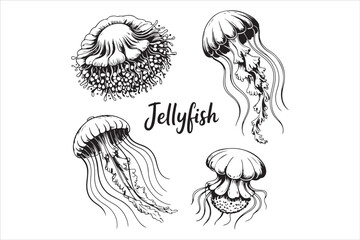 Hand Drawn Jellyfish Illustration  Black and White Marine Art