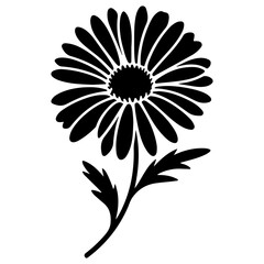 Daisy flower silhouette, vector illustration