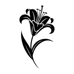 Elegant black silhouette of a lily flower