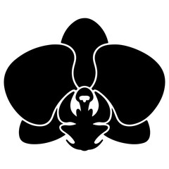 Elegant black silhouette of an orchid flower