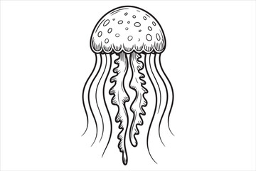 Hand Drawn Jellyfish Illustration  Black and White Marine Art