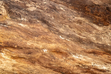 Detailed natural wood texture with warm brown, beige, and golden tones. Cracked and aged surface perfect for use in backgrounds, organic design