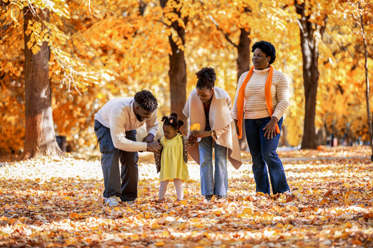 African American Family Walking and Collecting Leaves in Autumn Park - Powered by Adobe