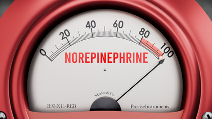 Norepinephrine that is hitting a full scale, showing rising levels of norepinephrine, possibly overload of it, too much of it. Maximum value, off the charts.  ,3d illustration © GoodIdeas