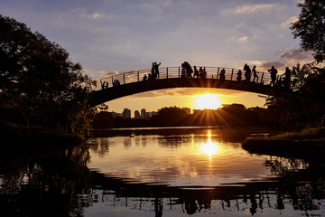 Fototapeta premium A still image of the iron bridge over the lake in Ibirapuera Park, Sao Paulo, with the sunset.