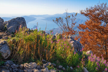 Beautiful autumn mountain landscape. Montenegro, Dinaric Alps. View of Adriatic Sea and Bay of...