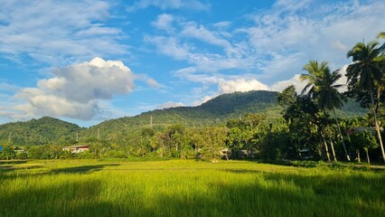 Naklejka premium landscape with lake and mountains