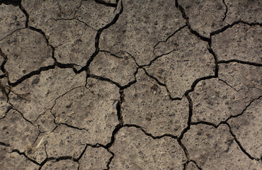 Dry brown Earth with cracked Texture top view