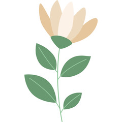 Delicate pastel flower illustration with green leaves and stem on a transparent background simple botanical drawing for spring or easter themes