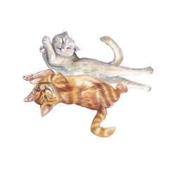 Various cats in different poses, hand-painted with delicate detail. Watercolor illustration. Perfect for pet brands, stationery, textile design, social media graphics, and home decor prints.