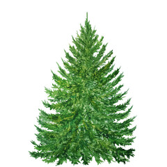 Watercolor Christmas tree. Hand painted New year tree isolated on white background. Holiday illustration for design, gift wrapping paper, cards, invitations