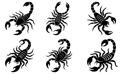 Detailed scorpion illustrations ready for your next design, perfect for tattoo artists, branding, or symbolic art projects, originally vector graphics