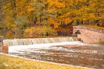 Fototapeta premium Viktorka Weir offers a serene view in Granny Walley, Ratiborice. The autumn landscape features colorful leaves and flowing water, creating a peaceful natural scene appreciated by visitors.