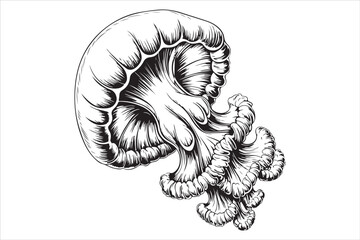 Jellyfish Line Art Vector Illustration