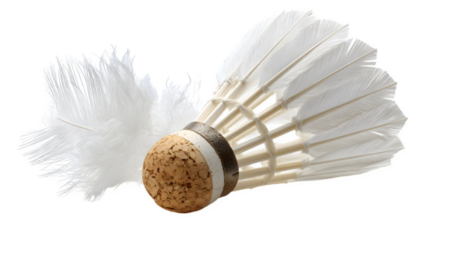 badminton shuttlecock, white feathers and cork tip, sporting equipment, isolated on white background