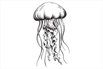Jellyfish Line Art Vector Illustration
