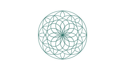 mandala line pattern, two color vector, minimal geometric art, simple symmetry, elegant outline