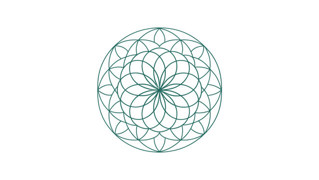 mandala line pattern, two color vector, minimal geometric art, simple symmetry, elegant outline