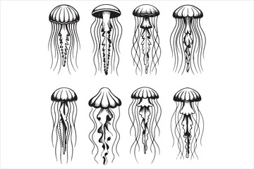 Jellyfish Line Art Vector Illustration