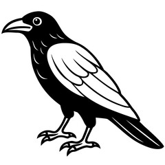 Minimalist color vector raven bird design